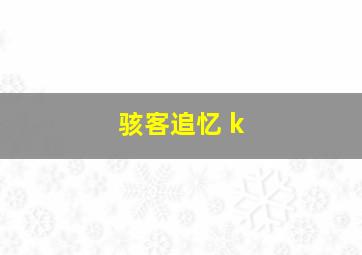 骇客追忆 k